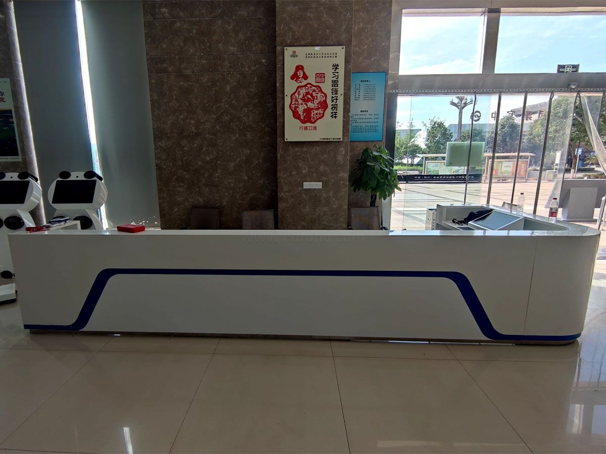 四川瀘州市龍馬潭智慧稅務(wù)局項目效果圖