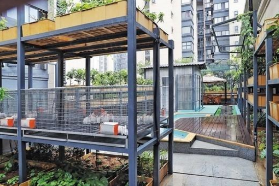 智能生態(tài)價值體系造福未來智慧城市發(fā)展效果圖